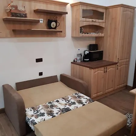 Διαμέρισμα Ella No11 Τιμισοάρα