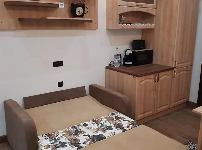 Apartamento Ella No11 Timişoara